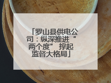 罗山县供电公司：纵深推进“两个度” 撑起监督大格局