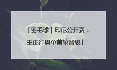 羽毛球｜印尼公开赛：王正行男单首轮晋级