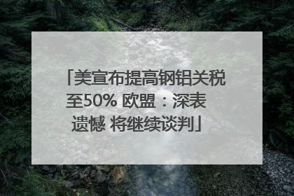美宣布提高钢铝关税至50% 欧盟：深表遗憾 将继续谈判