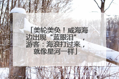 美轮美奂！威海海边出现“蓝眼泪”，游客：海浪打过来，就像星河一样