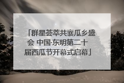 群星荟萃共襄瓜乡盛会 中国·东明第二十届西瓜节开幕式启幕