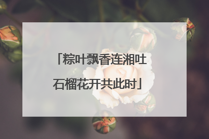 粽叶飘香连湘吐 石榴花开共此时