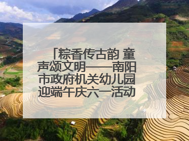 粽香传古韵 童声颂文明——南阳市政府机关幼儿园迎端午庆六一活动丰富多彩