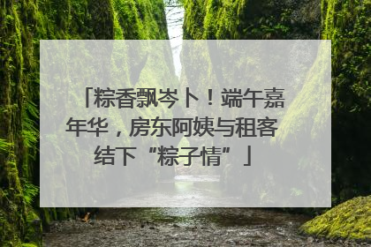 粽香飘岑卜！端午嘉年华，房东阿姨与租客结下“粽子情”