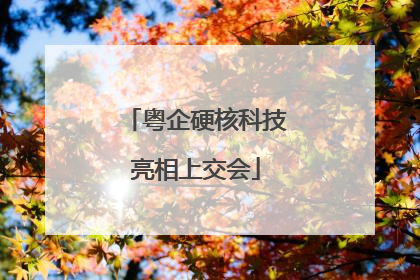 粤企硬核科技亮相上交会