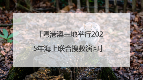 粤港澳三地举行2025年海上联合搜救演习