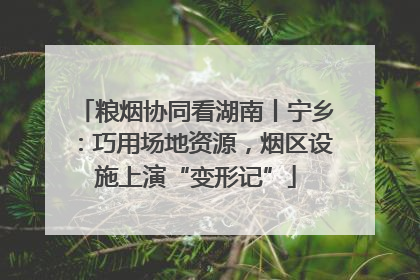 粮烟协同看湖南丨宁乡：巧用场地资源，烟区设施上演“变形记”