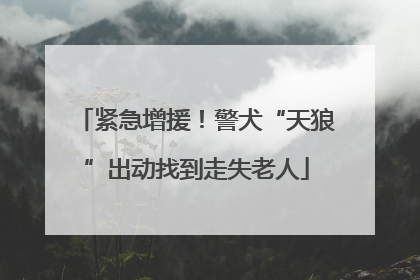 紧急增援！警犬“天狼”出动找到走失老人