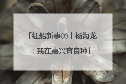 红船新事⑦丨杨海龙：我在嘉兴育良种