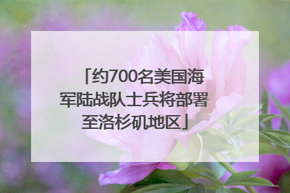 约700名美国海军陆战队士兵将部署至洛杉矶地区
