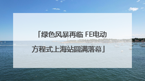绿色风暴再临 FE电动方程式上海站圆满落幕