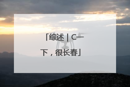 综述｜C一下，很长春