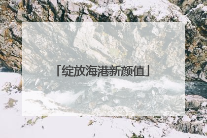 绽放海港新颜值