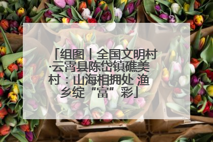 组图丨全国文明村·云霄县陈岱镇礁美村：山海相拥处 渔乡绽“富”彩