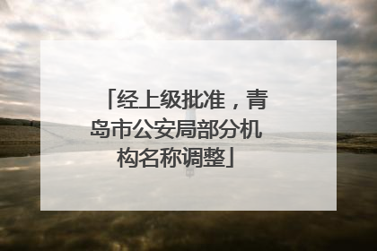 经上级批准，青岛市公安局部分机构名称调整