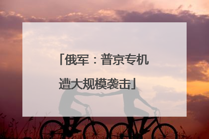 俄军：普京专机遭大规模袭击