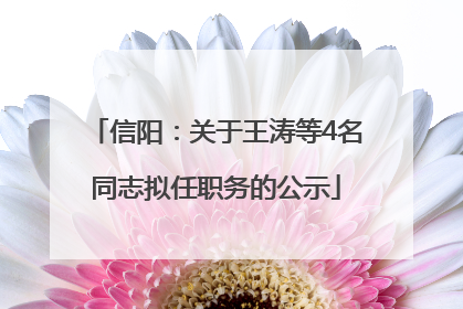 信阳：关于王涛等4名同志拟任职务的公示