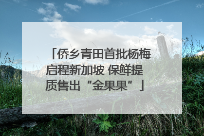 侨乡青田首批杨梅启程新加坡 保鲜提质售出“金果果”