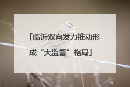 临沂双向发力推动形成“大监督”格局