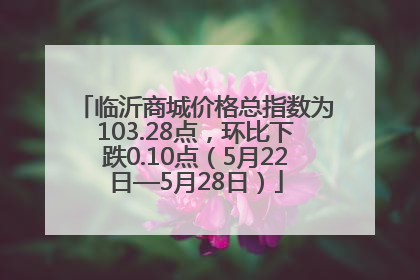 临沂商城价格总指数为103.28点，环比下跌0.10点（5月22日—5月28日）