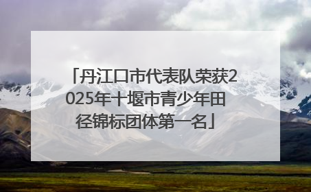 丹江口市代表队荣获2025年十堰市青少年田径锦标团体第一名