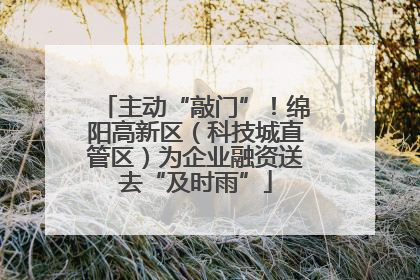 主动“敲门”！绵阳高新区（科技城直管区）为企业融资送去“及时雨”