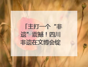 主打一个“非遗”震撼！四川非遗在文博会绽放时代光彩｜文博向“新”