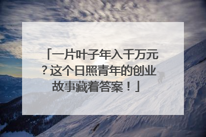 一片叶子年入千万元？这个日照青年的创业故事藏着答案！