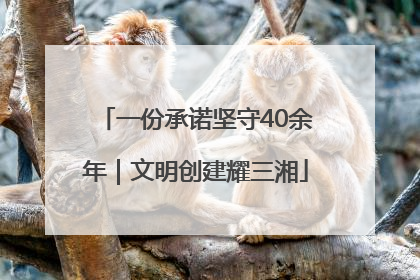 一份承诺坚守40余年｜文明创建耀三湘