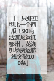 一只虾重堪比一个西瓜！90吨活波龙运抵鄂州，花湖机场货运航线突破100条