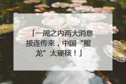 一周之内两大消息接连传来，中国“鲲龙”太硬核！