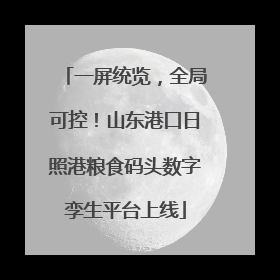 一屏统览，全局可控！山东港口日照港粮食码头数字孪生平台上线
