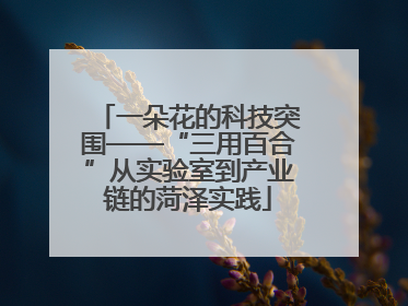 一朵花的科技突围——“三用百合”从实验室到产业链的菏泽实践