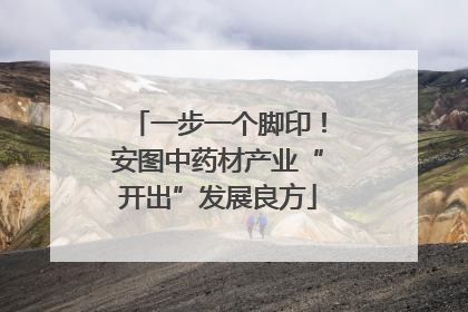 一步一个脚印！安图中药材产业“开出”发展良方