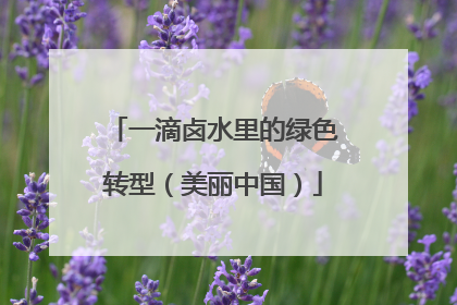 一滴卤水里的绿色转型（美丽中国）