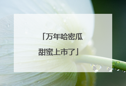 万年哈密瓜甜蜜上市了