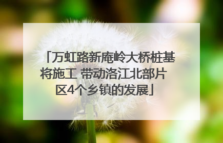 万虹路新庵岭大桥桩基将施工 带动洛江北部片区4个乡镇的发展