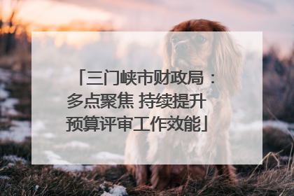 三门峡市财政局：多点聚焦 持续提升预算评审工作效能
