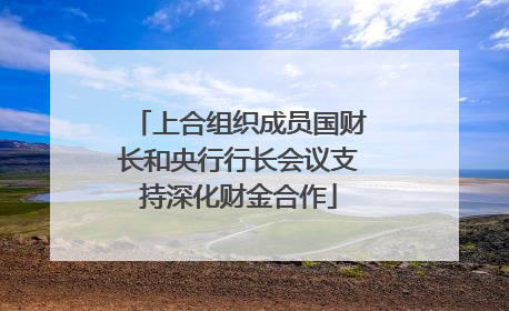 上合组织成员国财长和央行行长会议支持深化财金合作