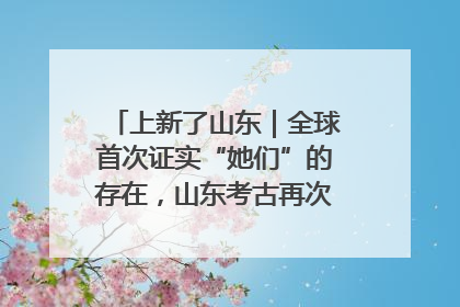 上新了山东｜全球首次证实“她们”的存在，山东考古再次震惊世界！