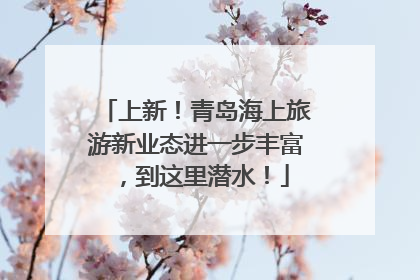 上新！青岛海上旅游新业态进一步丰富，到这里潜水！