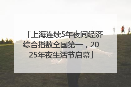 上海连续5年夜间经济综合指数全国第一，2025年夜生活节启幕