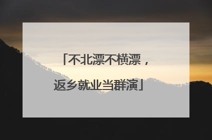不北漂不横漂，返乡就业当群演