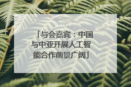 与会嘉宾：中国与中亚开展人工智能合作前景广阔