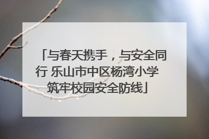 与春天携手，与安全同行 乐山市中区杨湾小学筑牢校园安全防线