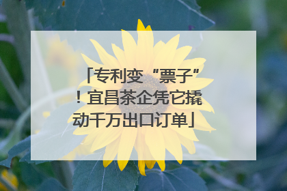 专利变“票子”！宜昌茶企凭它撬动千万出口订单