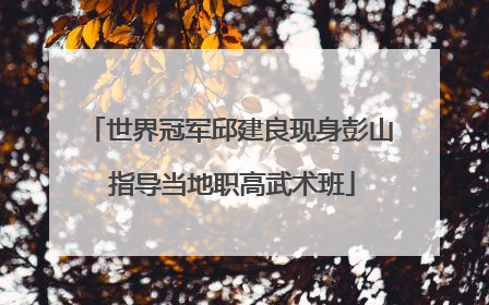世界冠军邱建良现身彭山 指导当地职高武术班