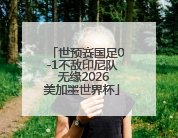 世预赛国足0-1不敌印尼队 无缘2026美加墨世界杯
