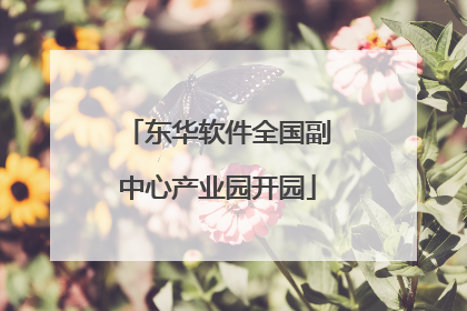 东华软件全国副中心产业园开园