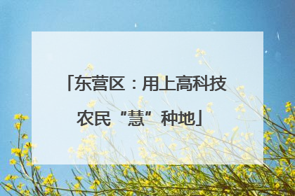 东营区：用上高科技 农民“慧”种地